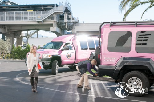 Auf zur Pink Jeep Tour.