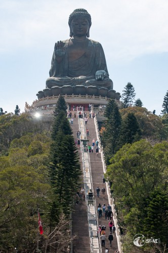 266 Stufen zum Buddha.