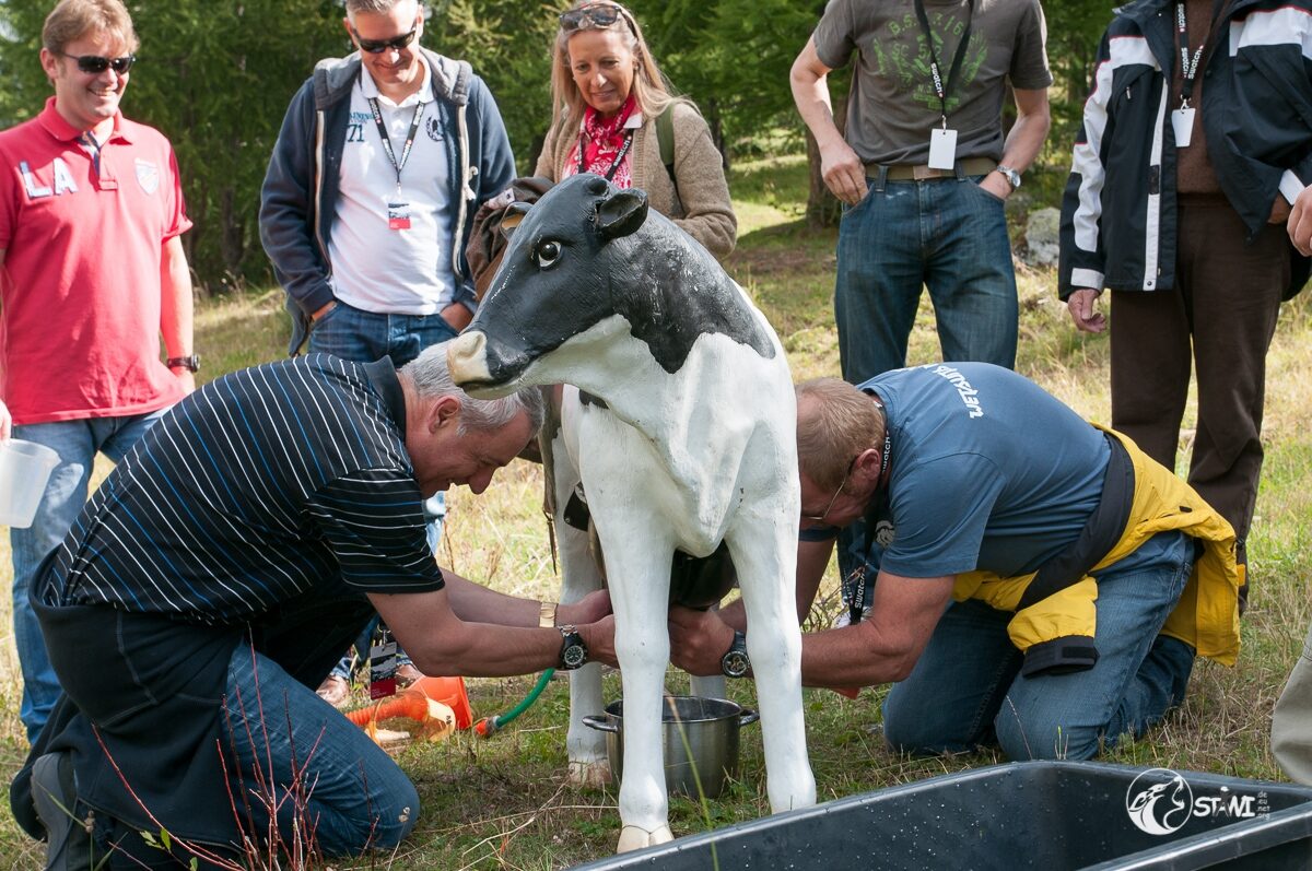 SMS_5409