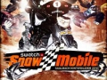 snowmobil2010