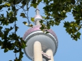 SMS_2230 SMS_2230