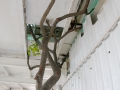 SMS_3349 SMS_3349