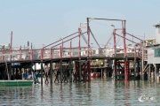 SMS_6994