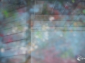 MS7_0322