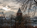 MS7_6688 MS7_6688