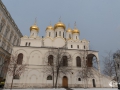 MS7_6699 MS7_6699