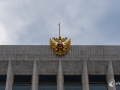 MS7_6772