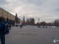 MS7_6833