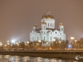 MS7_7117