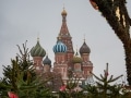 MS7_7976 MS7_7976