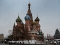 MS7_7982 MS7_7982