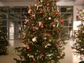 Tannenbaum
