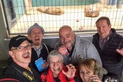 Brüllen wir ein Löwe.