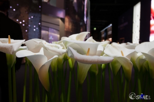 Blumenmesse? - Nein, Baselworld Deko.