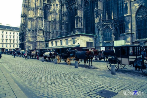 Wiener-Fiaker gab es auch zu sehen.