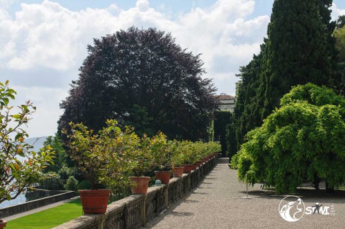 Im Garten.